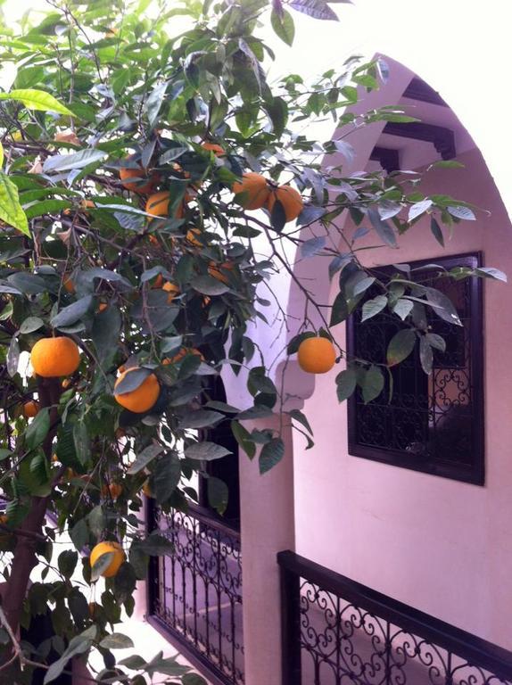Riad Le Bel Oranger Marrakesch Exterior foto